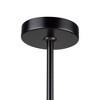 Artcraft Lighting Bolla 5 - Light Pendant in  Black - 4 of 4