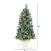 Nearly Natural 50-in Frosted Tip British Columbia Mountain Pine Artificial Christmas Tree with 100 Clear Lights - 2 of 3