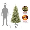 6' Unlit Hinged Arcadia Cashmere Pine Artificial Christmas Tree - National Tree Company - 4 of 4
