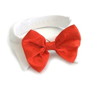 Doggie Design White Collar with Red Satin Bow Tie - 1 of 3