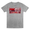 MLB Washington Nationals Toddler Boys' 2pk Gray T-Shirt - 2 of 3