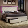 Bed Frame with LED Lights&Storage Drawers, Velvet Upholstered Platform Bed - 2 of 4