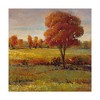Trademark Fine Art -Tim Otoole 'Field In Fall' Canvas Art - 2 of 4