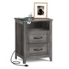 Farmhouse Nightstand with Charging Station, 2-Drawer Bedside Table, Open Shelf, USB & AC Outlets, for Bedroom & Living Room - 3 of 4