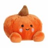 Aurora Mini Paisley Pumpkin Palm Pals Spooky Stuffed Animal Orange 5" - 2 of 4