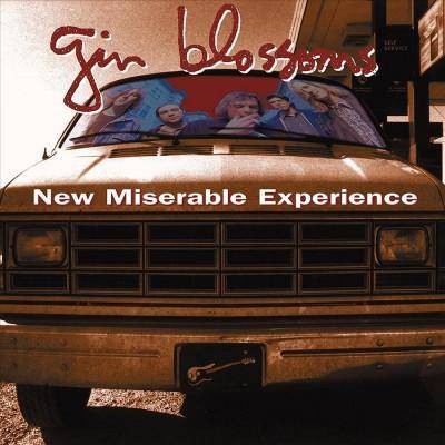 Gin Blossoms - New Miserable Experience (LP) (Vinyl)