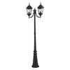 Livex Lighting Hamilton 2 - Light Lantern in  Black - 4 of 4