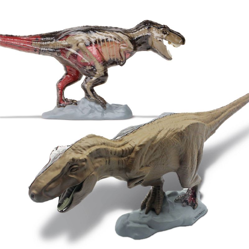 Discovery #Mindblown 4D T-Rex Anatomy Kit Interactive Dinosaur Model, 5 of 11