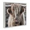 Stupell Industries Detailed Highlands Cattle Rural Farm Photography Black Framed Giclee Art - 3 of 4