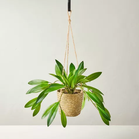 8" Faux Hoya Hanging Plant - Hearth & Hand™ with Magnolia, 1 of 7