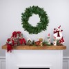 Northlight Cashmere Mixed Pine Artificial Christmas Wreath - 24" - Unlit - 2 of 4