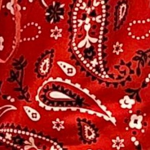 rodeo bandana - red