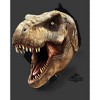Boy's Jurassic World T. Rex Escape T-Shirt - 2 of 4