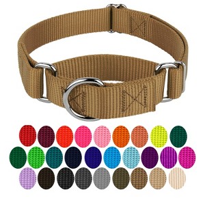 Country Brook Petz Martingale Heavyduty Training Collar with No Buckle - Service Collar for All Dogs - Vibrant, Colorful Collection - 1 of 4