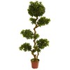 Nearly Natural 5-ft Pittosporum UV Resistant (Indoor/Outdoor) - 4 of 4