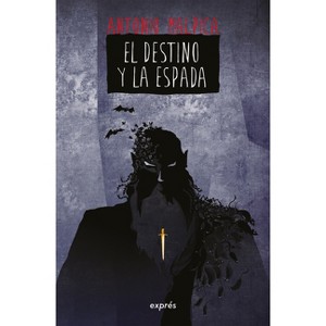 El Destino Y La Espada / The Destiny and the Sword - (El Libro de los Héroes) by  Antonio Malpica (Paperback) - 1 of 1
