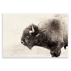 Stupell Industries Shaggy Buffalo Rustic Portrait Vintage Sepia Tone Photography Wall Plaque Art - 1 of 4