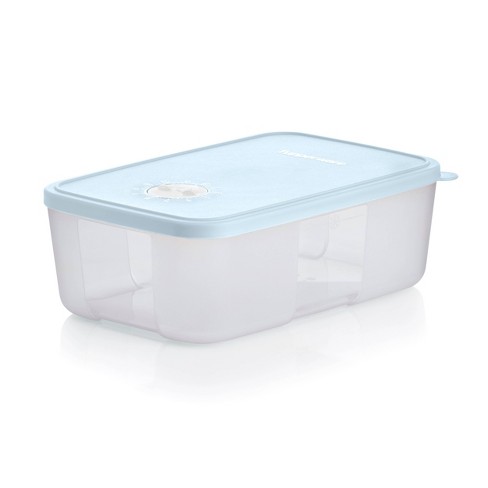 Keer terug deze Onenigheid Tupperware Date Store & Freeze - 6.75c Freezer Container : Target