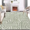 Abstract Area Rugs Soft Modern Rug for Bedroom Ultra-Thin Non Slip Washable Throw Carpet for Living Room Dining Room Hallway - 3 of 4