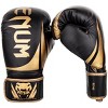 Venum Challenger 2.0 Hook and Loop Training Boxing Gloves - 2 of 4