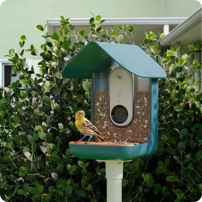 Bird Buddy Outdoor Bird Feeder Kit 9&#34; - Blue_7