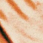 clear push pins bundle