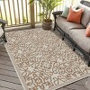 Playa Rug Eliza Rectangle Woven Indoor Outdoor Rugs - 3 of 4