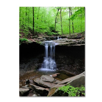 Blue Hen Falls 32" x 24" Canvas Art Print