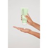 Paul Mitchell Clean Beauty Anti-Frizz Conditioner - 8.5 fl oz - 3 of 4