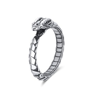 Dragon Bracelet for Women or Men Stainless Steel Punk Gothic Bangle Ginger Lyne Collection - 1 of 4
