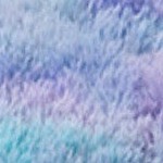 tie-dye orchid rainbow