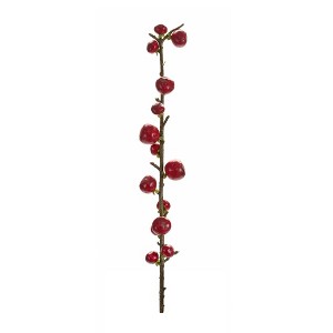 Melrose Berry Twig Stem (Set of 6) - 1 of 3