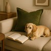 Tramull Velvet Throw Pillow, Decorative Pillow, Soft Glimmering Finish, Plush Fill for Couch & Bed - 3 of 4