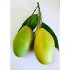 No Sugar Added Dried Mango Slices - Gluten Free & Non-GMO  1 Lb - 2 of 4