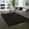 Traditional Solid Long Pile Indoor Area Rug, 5' x 7' - 2 of 4