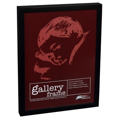 Ambiance Framing Gallery Wood Frames Single - Assorted Sizes & Colors