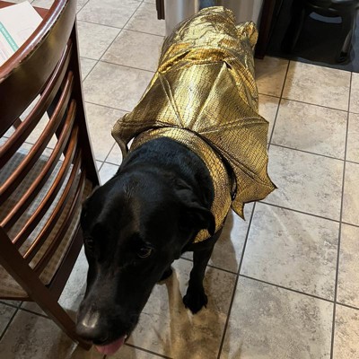 Golden snitch hotsell dog costume