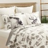 C&F Home 18" x 18" Bear Forest Indoor/Outdoor Throw Pillow, Cabin Decor - 2 of 4