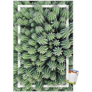 Trends International Cactus - Group Unframed Wall Poster Prints - 1 of 4
