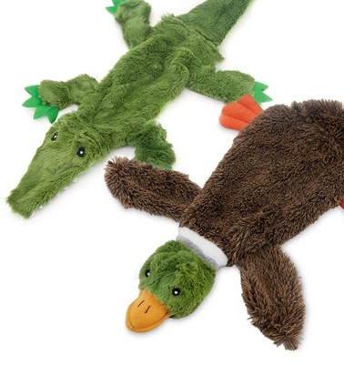 wild duck & alligator