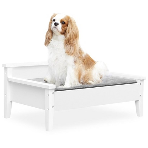 Medium elevated hot sale dog bed