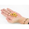 Collectible Wildlife Gifts | Frog, Orange and Black Poison Dart Frog, Plastic Toy, Realistic, Rainforest, Model, Gift,    3"    F4095 B54 - 3 of 4