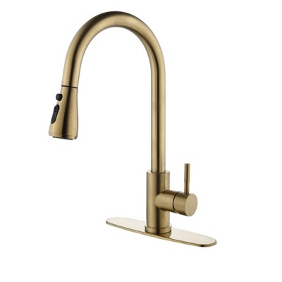 GreenEver Kitchen Faucet with Pull Out Spraye