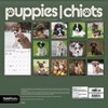 Trends International 2026 Puppies Bilingual French 12"x12" Wall Calendar - 4 of 4