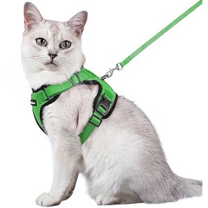 rabbitgoo Cat Harness and Leash for Walking, Escape Proof Soft Adjustable Vest HarneJacket, Grass Green,M - 1 of 1