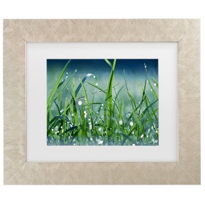 Trademark Fine Art - Beata Czyzowska Young Morning Dew Matted Framed Art - 1 of 4