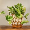 Storied Home Hand-Carved Wood Planter with Dots - 3 of 4