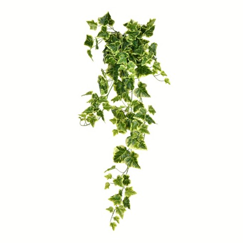 Vickerman Artificial Light Green Ivy Hanging Bush : Target