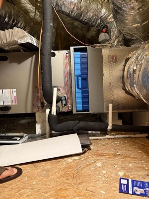 Guest review image 4 of 5, zoom in