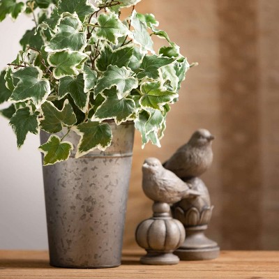 Gray Stone-Look Bird Finial Set of 2 Decorative Accents